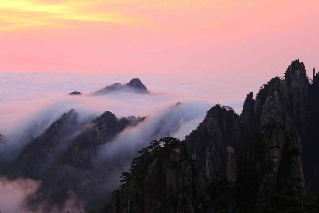 Pines on Huangshan's granite peaks